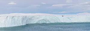 Nordaustlandet: Brasvellbreen