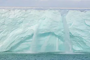 Nordaustlandet: Brasvellbreen