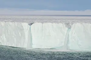 Regions: Brasvellbreen
