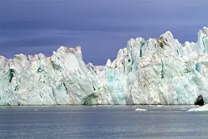 Nordauslandet: Brasvell's Glacier