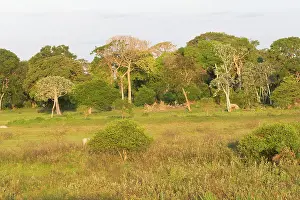 Fazenda: Brazil