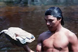 Andrea Florence: BRAZIL - Big Headed Turtles - Being collected by Cabaclo