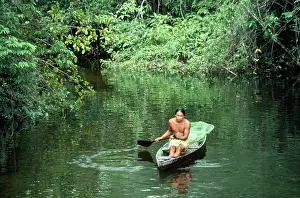 Canoes: BRAZIL - Caboelo native in canoe, collecting big-headed