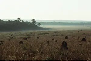 Goias: BRAZIL - Goias State Das Emas N.P