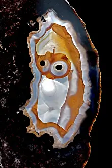 Agate: Brazilian Agate slice with MR sad face design