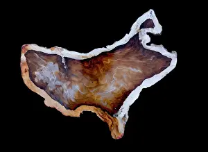 Agate: Brazilian Agate slice in shape of USA