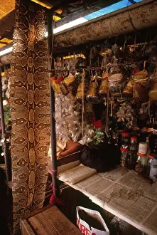 Poaching: Brazilian Apothecary