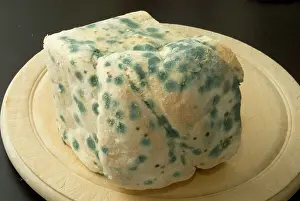 Bread: Bread - mould growing on stale white bread