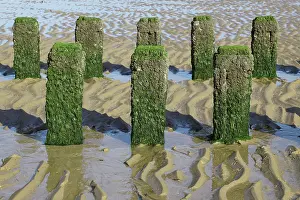 Shadows: Breakwaters at the Dutch coast at low tide, The