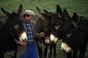 Touched: Breeder of Asses Big Black Berry Indre France