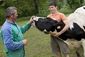 Ager: Breeder and son caressing a cow Holstein Italy