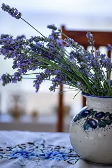 Vase: Bremerton, Washington State, USA. Lavender in a vase