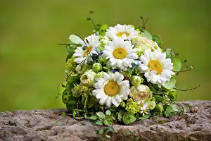 Leucanthemum: Bridal bouquet with daisies Brautstrau&, x182d;it