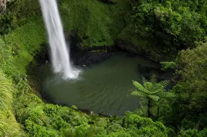 Surrounded: Bridal Veil Falls surrounded by dense rainforest
