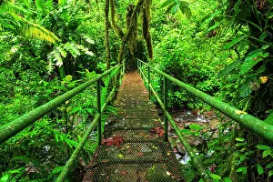 Bridge: Bridge over a jungle stream, Alajuela Province, Costa Rica