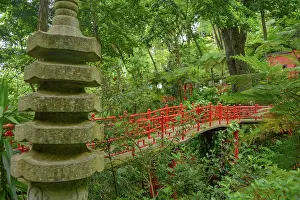 Monte: Bridge, Monte Palace Tropical Garden, Monte, Funchal