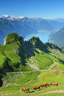 Rothorn: Brienzer Rothorn, Switzerland, Europe