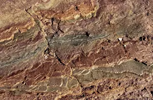 Cambrian: Bright Angel Shale