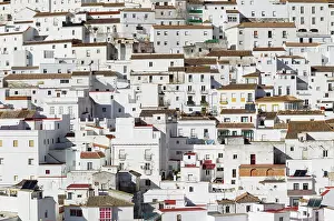 Whitewashed: Brilliantly whitewashed houses in Alcala de los Gazules