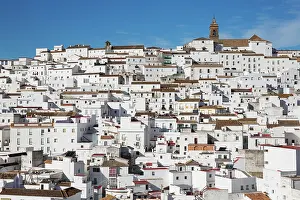 Housing: Brilliantly whitewashed houses in Alcala de los Gazules