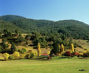 Homestead: Brindabella Homestead Brindabella Ranges
