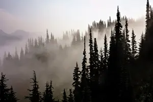 Whistler: British Columbia, Whistler. Coming out of