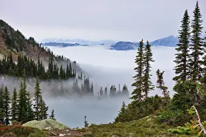 Whistler: British Columbia, Whistler. Coming out of
