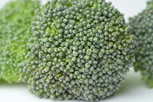 Floret: Broccoli