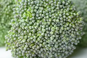 Floret: Broccoli