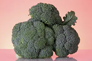 Broccoli: Broccoli