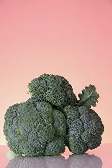 Broccoli: Broccoli