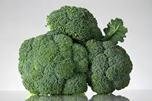 Broccoli: Broccoli