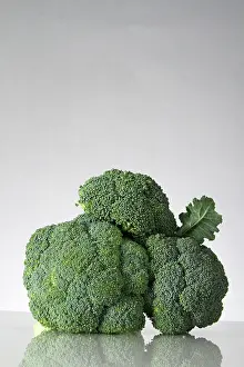 Broccoli: Broccoli