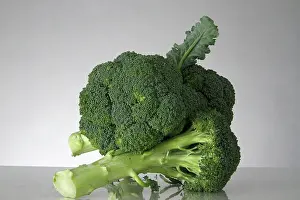 Broccoli: Broccoli