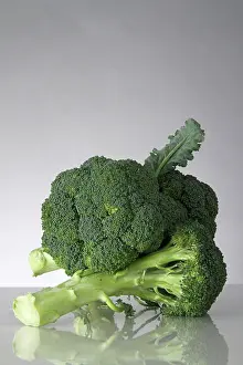 Broccoli: Broccoli
