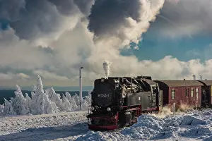 Fashioned: Brockenbahn travels through snowy Spruces (Picea)