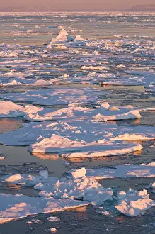 Peace: Broken pack ice at sunrise, Godthab Golf