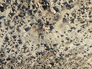 Barrenness: Broken, rocky ground in a dried-up river bed