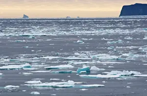 Peace: Broken sea ice, Scoresby sound, East Coast