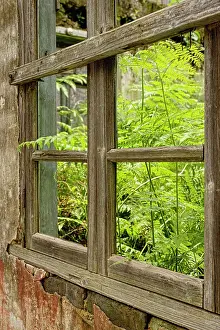 Yangshuo: Broken out window and weeds growing, Fuli