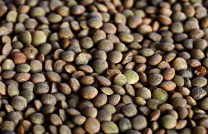 Lens: Brown Lentils