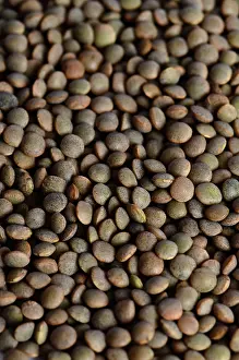 Lens: Brown Lentils