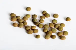 Lens: Brown Lentils