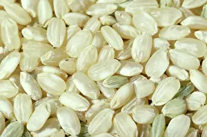 Oryza: Brown rice