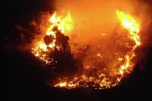 Burning: Brush Fire