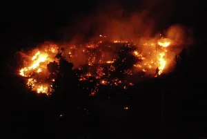 Burning: Brush Fire