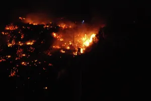 Burning: Brush Fire