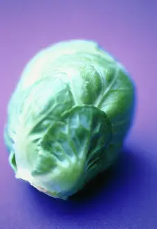 Brussel: Brussel Sprout