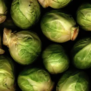 Brussel: Brussel Sprout