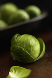 Brussel: Brussel sprout, Brassica oleracea bullata, Green